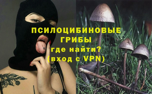МДПВ Армянск
